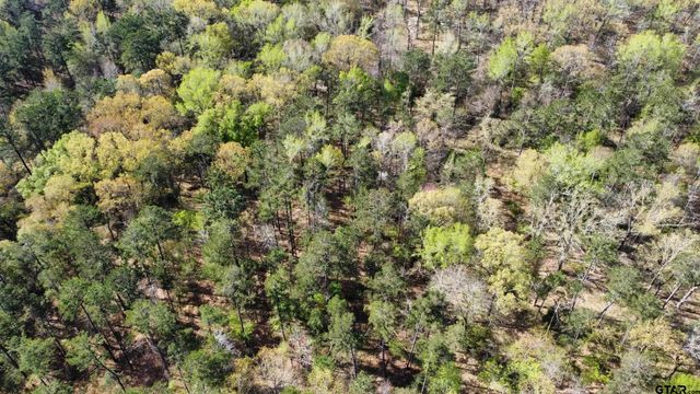 000 C R 434, Lindale, TX 75771
