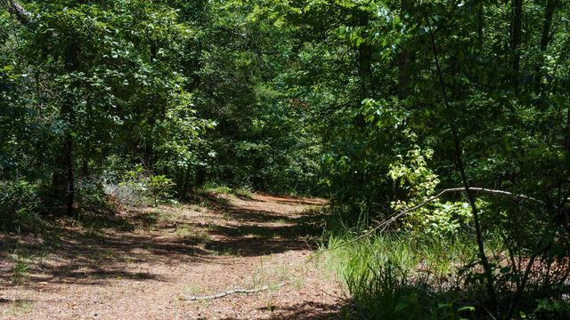 000 C R 434, Lindale, TX 75771