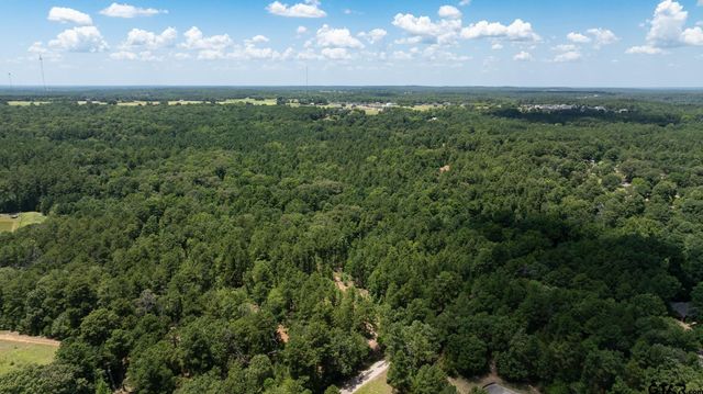 000 C R 434, Lindale, TX 75771