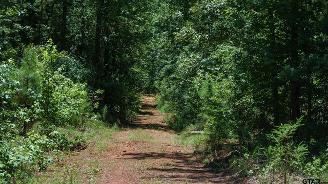 000 C R 434, Lindale, TX 75771