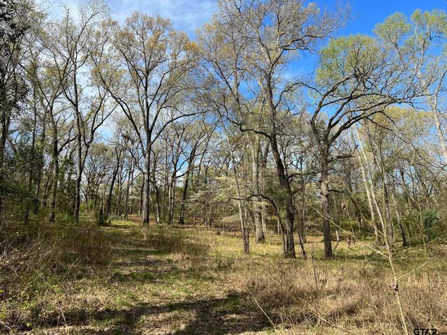 000 C R 434, Lindale, TX 75771