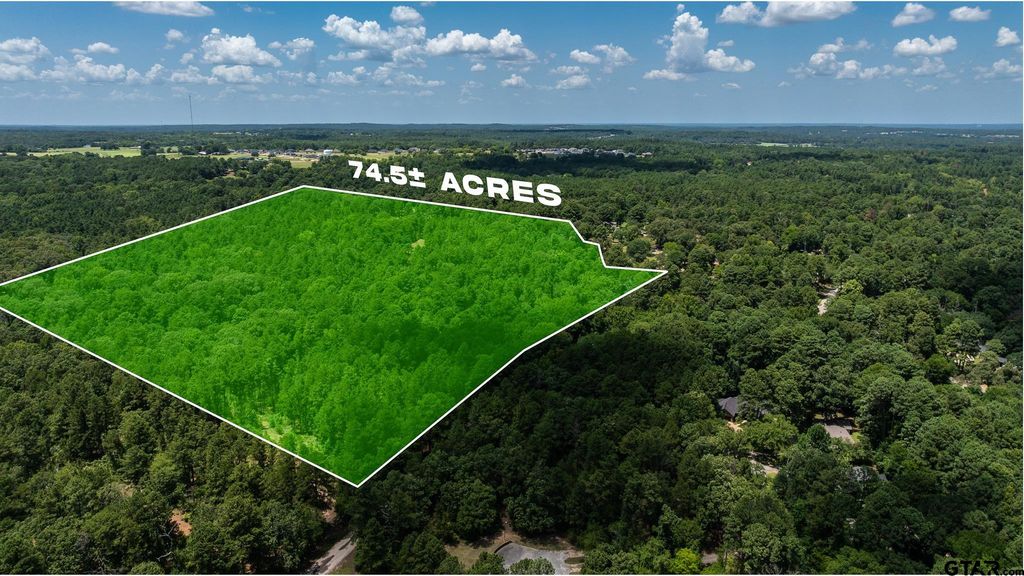 000 C R 434, Lindale, TX 75771