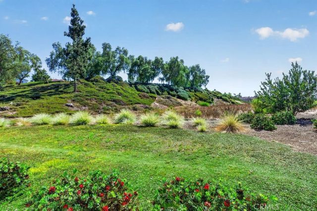 3 Caribbean Court, Laguna Niguel, CA 92677