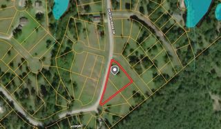 20 Scenic Wood Drive, Coldspring, TX 77331