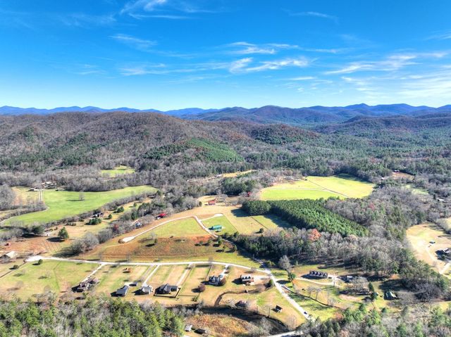 47 Downy Road, Blue Ridge, GA 30513