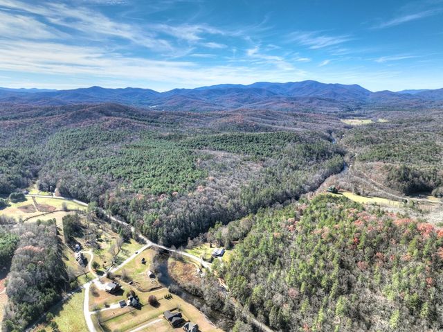47 Downy Road, Blue Ridge, GA 30513