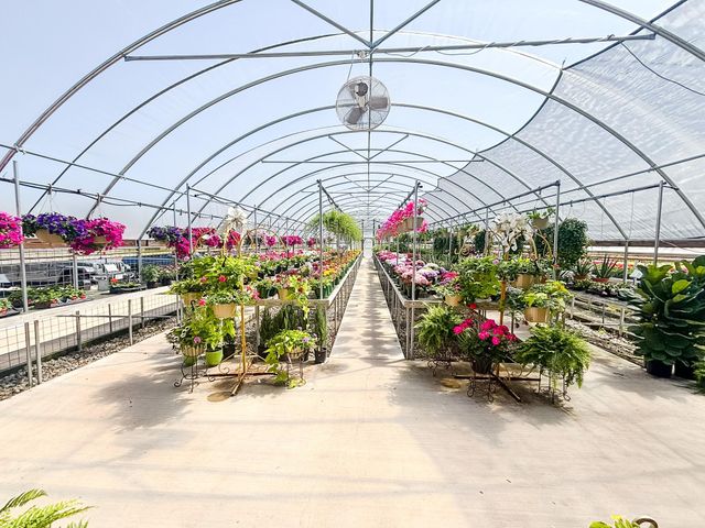 375 S Craigs Drive, Buffalo, TX 75831