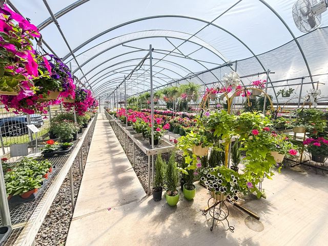 375 S Craigs Drive, Buffalo, TX 75831