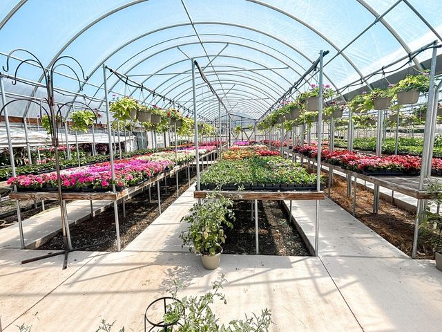 375 S Craigs Drive, Buffalo, TX 75831