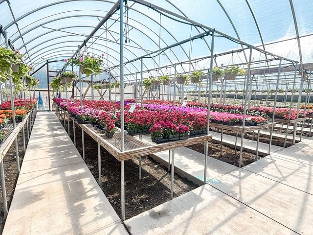 375 S Craigs Drive, Buffalo, TX 75831