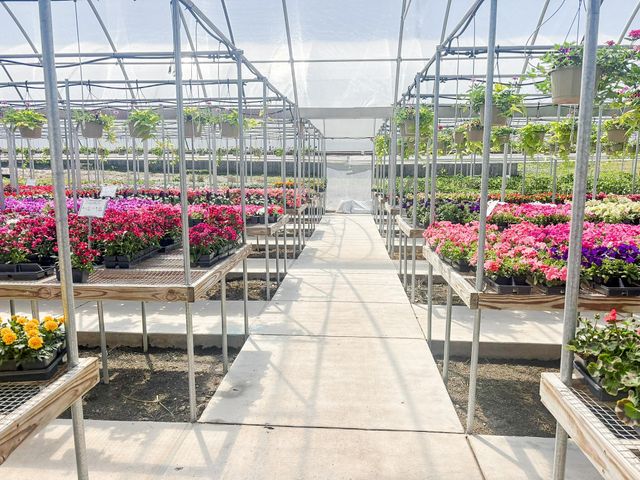 375 S Craigs Drive, Buffalo, TX 75831