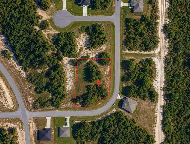 320 BOWFIN DRIVE, Kissimmee, FL 34759