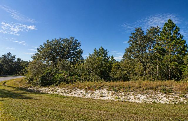 320 BOWFIN DRIVE, Kissimmee, FL 34759