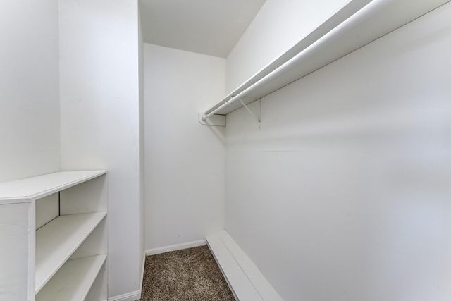 12415 Foxburo Drive, Houston, TX 77065