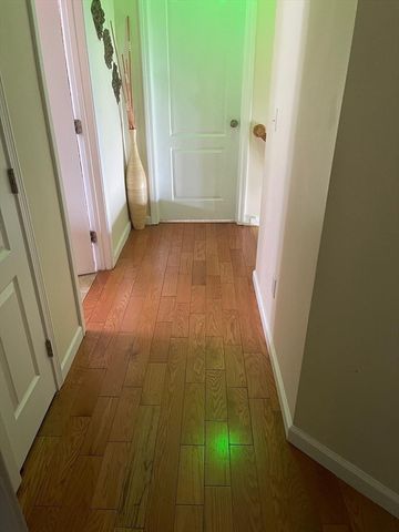 19 Annies Way, Springfield, MA 01119