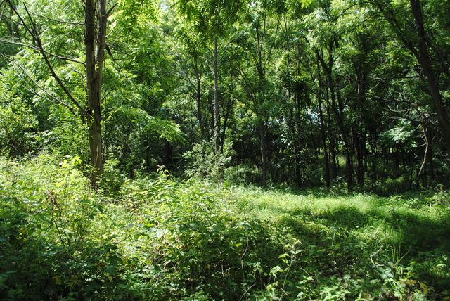 3168 Luna Drive, Dexter, MI 48130