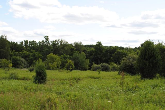 3168 Luna Drive, Dexter, MI 48130