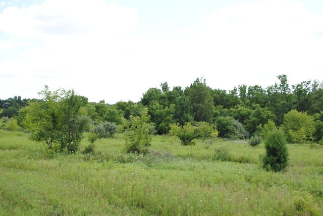 3168 Luna Drive, Dexter, MI 48130
