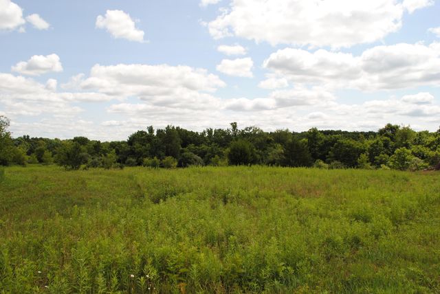 3168 Luna Drive, Dexter, MI 48130