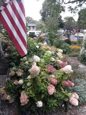 5502 Regis Trail NE, Fridley, MN 55432