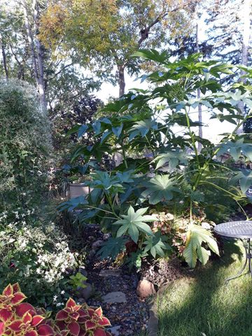 5502 Regis Trail NE, Fridley, MN 55432