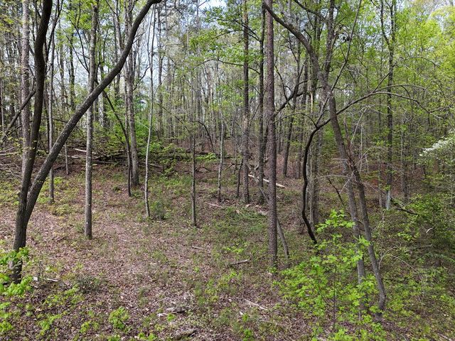 Lot 36R Hilton Drive, Ellijay, GA 30540