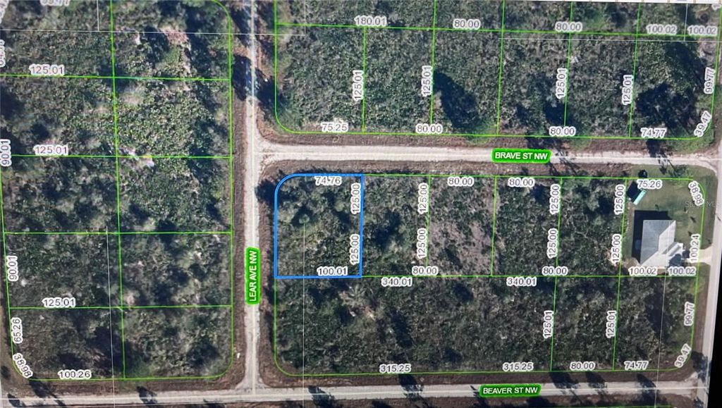 108 LEAR AVENUE NW, Lake Placid, FL 33852