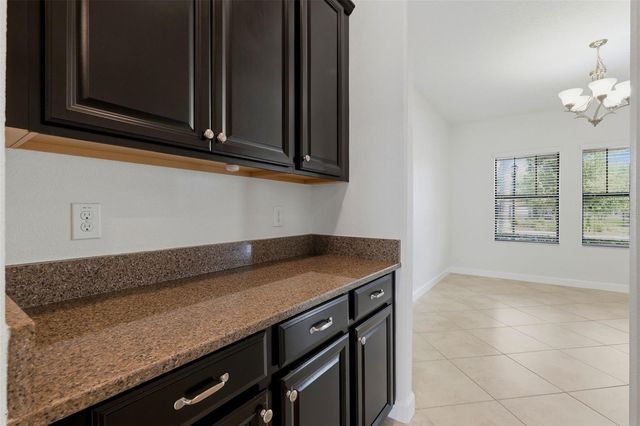 19419 PADDOCK VIEW DRIVE, Tampa, FL 33647