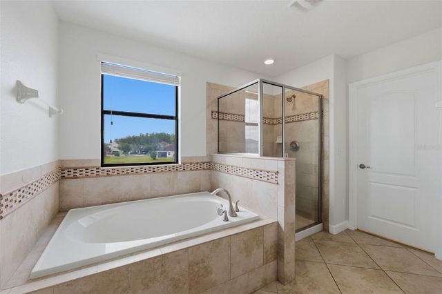 19419 PADDOCK VIEW DRIVE, Tampa, FL 33647