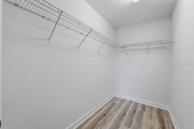 19419 PADDOCK VIEW DRIVE, Tampa, FL 33647