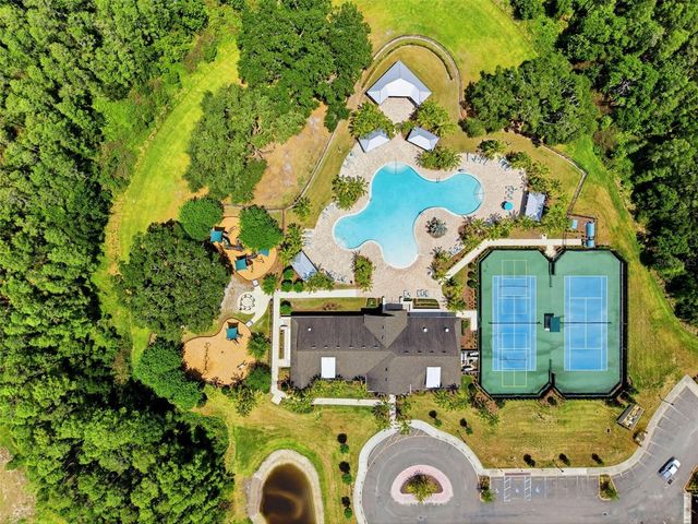 19419 PADDOCK VIEW DRIVE, Tampa, FL 33647