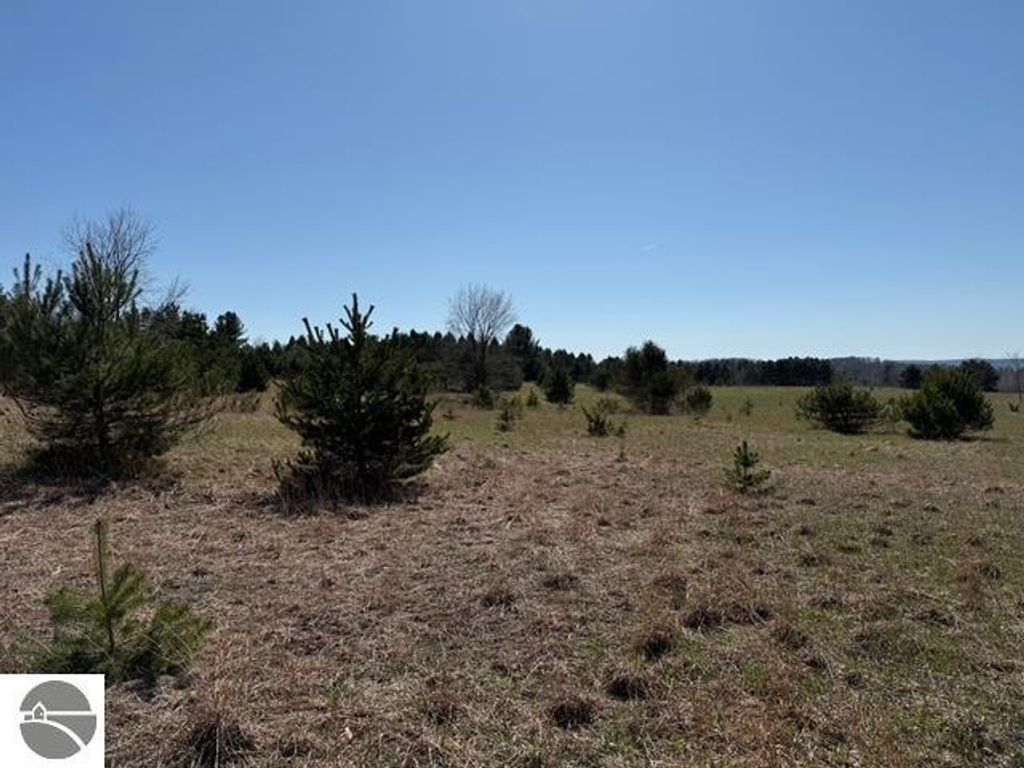 Image 10 of property listing at Helena Road, Alden, MI 49612