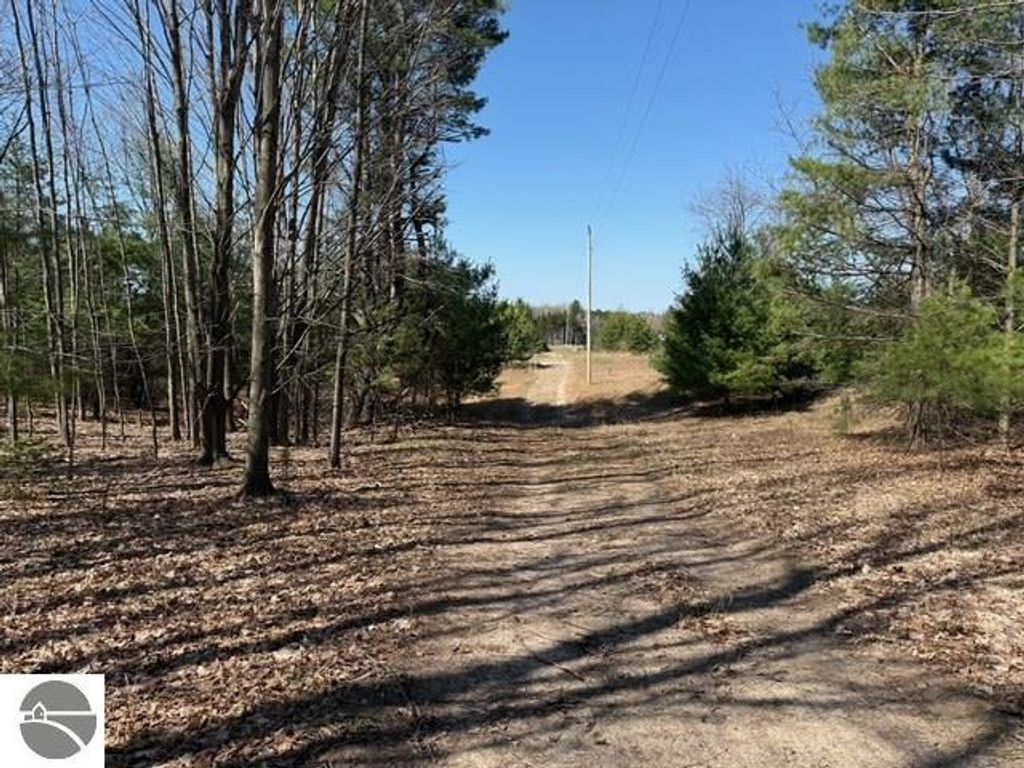 Image 4 of property listing at Helena Road, Alden, MI 49612