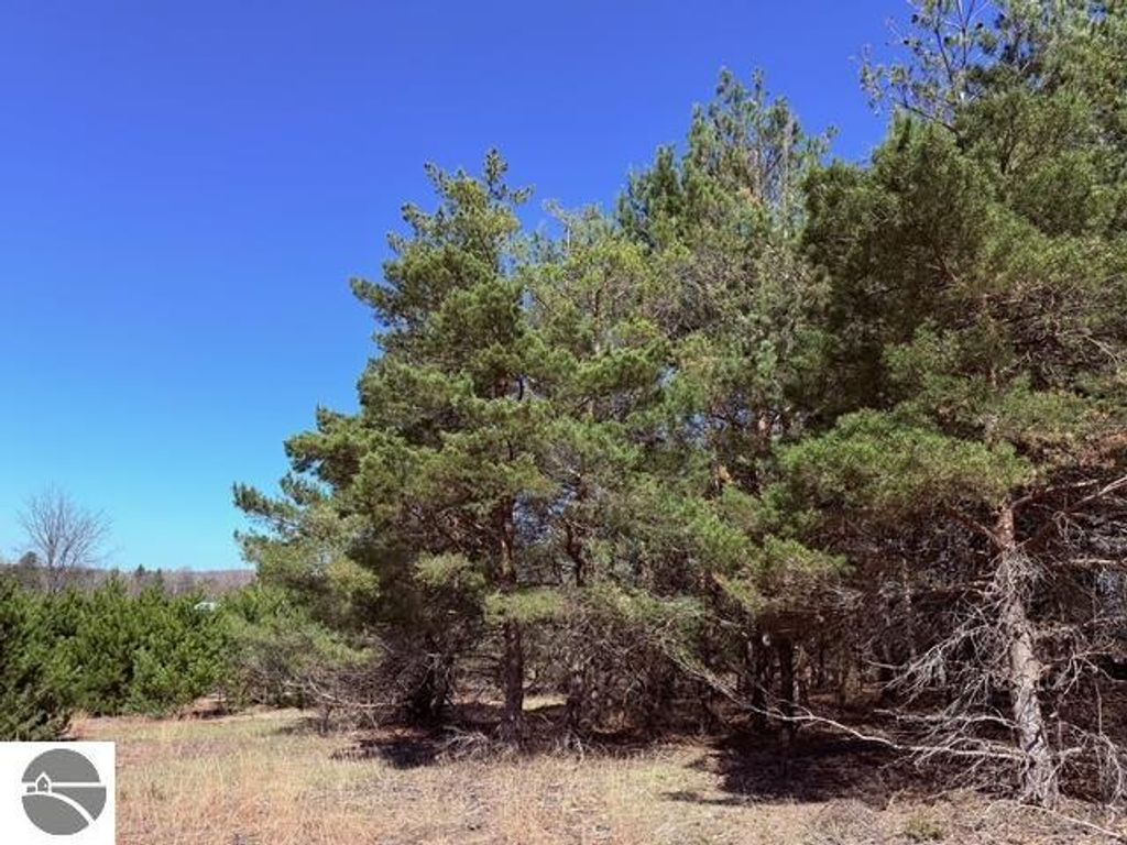 Image 7 of property listing at Helena Road, Alden, MI 49612