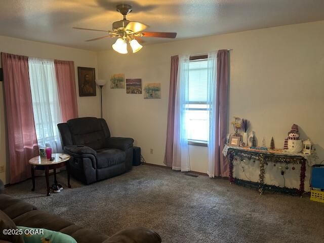 719 S Jefferson Avenue, Joplin, MO 64801