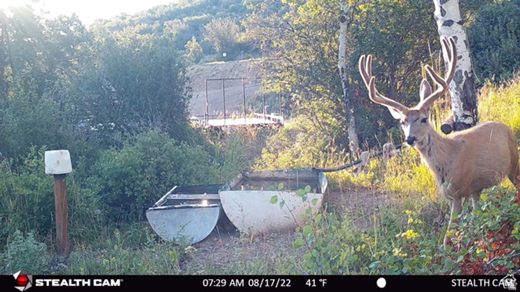 Image 20 of property listing at 28 MOOSE HORN RD, #28, Coalville, UT 84017