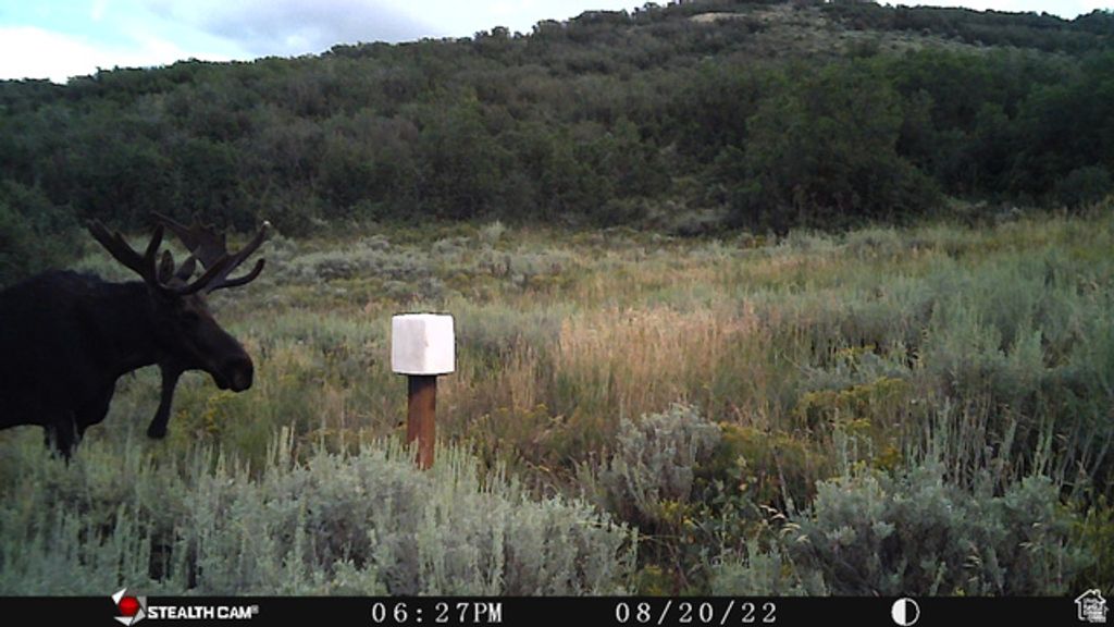 Image 22 of property listing at 28 MOOSE HORN RD, #28, Coalville, UT 84017