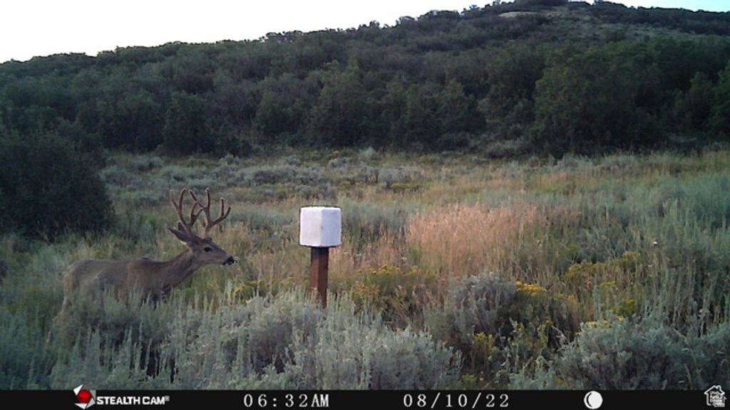 Image 23 of property listing at 28 MOOSE HORN RD, #28, Coalville, UT 84017