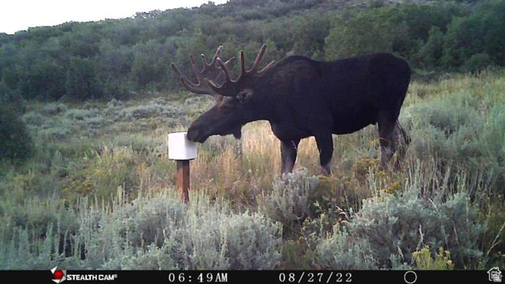 Image 24 of property listing at 28 MOOSE HORN RD, #28, Coalville, UT 84017