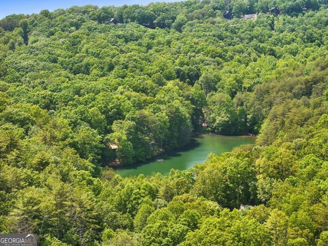 189 Cherry Lake Drive 3, Blue Ridge, GA 30513