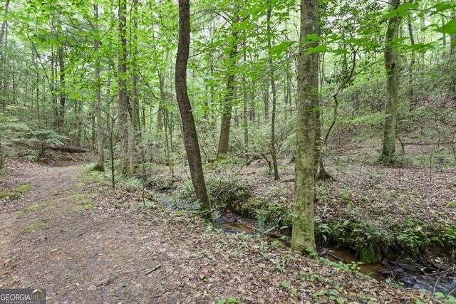 189 Cherry Lake Drive 3, Blue Ridge, GA 30513