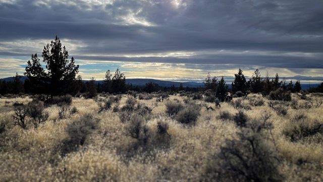 16410 SW George Millican Road, Prineville, OR 97754