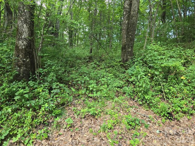 000 Greenspire Drive, Sylva, NC 28779