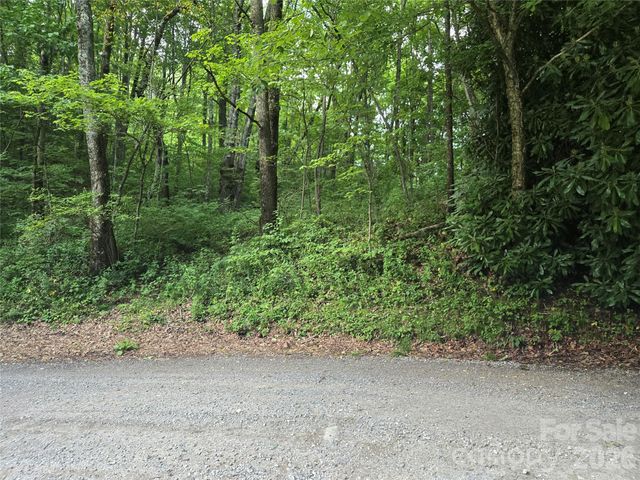 000 Greenspire Drive, Sylva, NC 28779