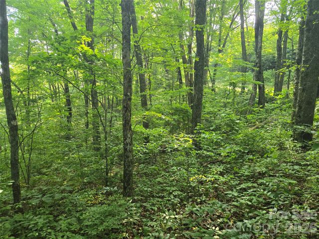 000 Greenspire Drive, Sylva, NC 28779