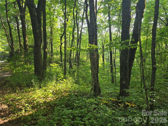 000 Greenspire Drive, Sylva, NC 28779