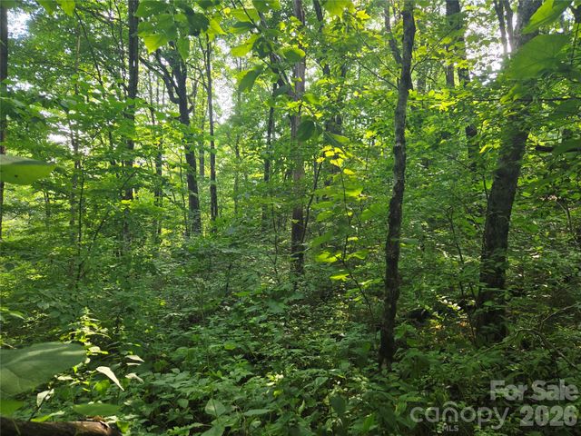 000 Greenspire Drive, Sylva, NC 28779