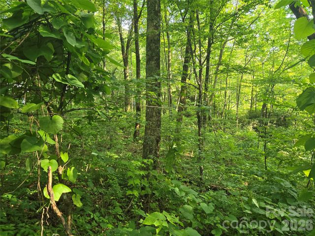 000 Greenspire Drive, Sylva, NC 28779