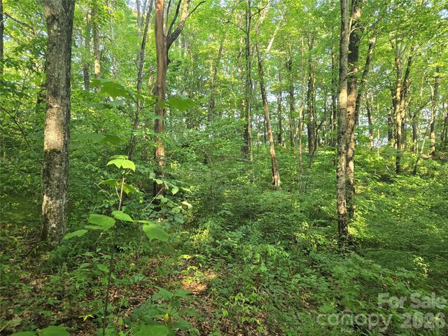 000 Greenspire Drive, Sylva, NC 28779