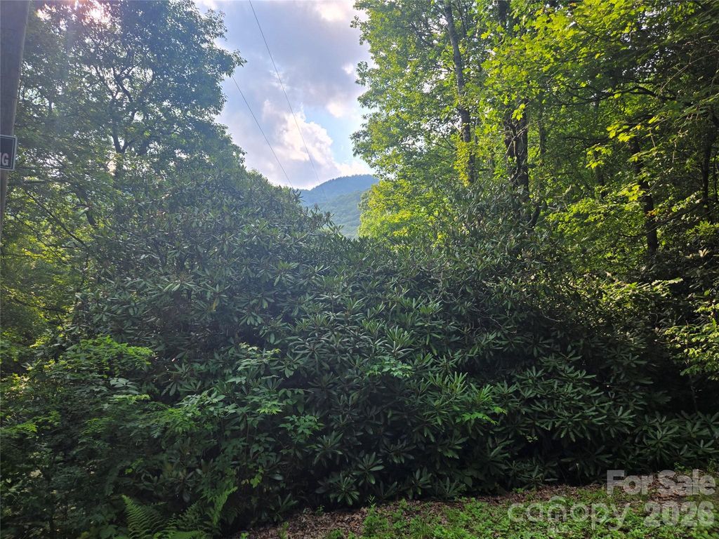 000 Greenspire Drive, Sylva, NC 28779